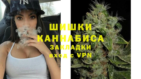 гашик Каменногорск