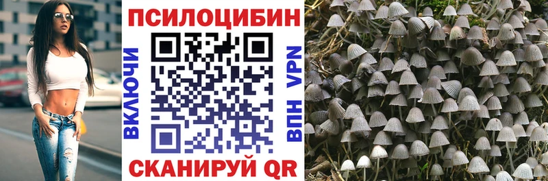 Купить  Сарапул  Галлюциногенные грибы мухоморы 